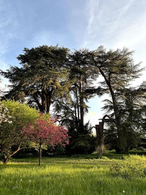 Pavillon Des Ecureuils Au Chateau Royal De Benays Benais Экстерьер фото